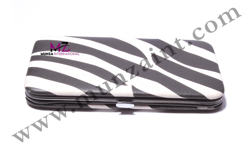 Magnetic Tweezers Case